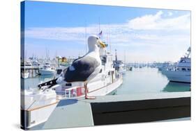 Point Loma, San Diego-f8grapher-Stretched Canvas