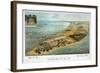 Point Lookout-null-Framed Giclee Print