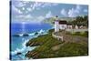 Point Montara, CA-Eduardo Camoes-Stretched Canvas