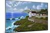 Point Montara, CA-Eduardo Camoes-Mounted Premium Giclee Print