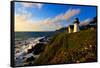 Point Montara Lighthouse at coast, Montara, San Mateo County, California, USA-null-Framed Stretched Canvas