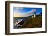 Point Montara Lighthouse at coast, Montara, San Mateo County, California, USA-null-Framed Photographic Print