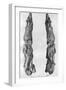 Point of Mammoth Tusk Carved with Reindeer, from Montastruc, Bruniquel, France, 1926-null-Framed Giclee Print