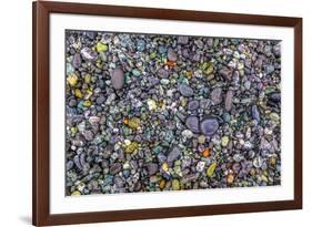 Point of the Arches, Washington, USA. Pebbles and rocks on the beach.-Stuart Westmorland-Framed Premium Photographic Print