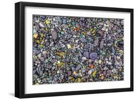 Point of the Arches, Washington, USA. Pebbles and rocks on the beach.-Stuart Westmorland-Framed Photographic Print