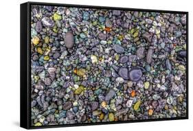 Point of the Arches, Washington, USA. Pebbles and rocks on the beach.-Stuart Westmorland-Framed Stretched Canvas