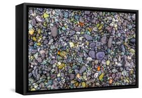 Point of the Arches, Washington, USA. Pebbles and rocks on the beach.-Stuart Westmorland-Framed Stretched Canvas