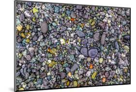 Point of the Arches, Washington, USA. Pebbles and rocks on the beach.-Stuart Westmorland-Mounted Photographic Print
