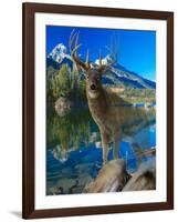 Point of View 2-Gordon Semmens-Framed Giclee Print