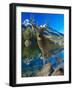 Point of View 2-Gordon Semmens-Framed Giclee Print