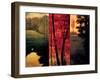 Point of View II-Neil Thomas-Framed Art Print