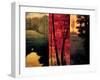 Point of View II-Neil Thomas-Framed Art Print