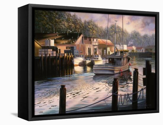 Point of View-Nicky Boehme-Framed Stretched Canvas