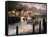 Point of View-Nicky Boehme-Framed Stretched Canvas