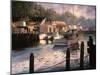 Point of View-Nicky Boehme-Mounted Giclee Print