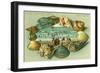 Point Pleasant Beach, New Jersey - a Scenic View Bordered with Sea Shells-Lantern Press-Framed Art Print