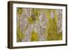 Point Reyes, Calif.-Art Wolfe-Framed Photographic Print