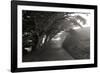 Point Reyes I-George Johnson-Framed Photographic Print