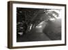 Point Reyes I-George Johnson-Framed Photographic Print