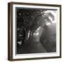 Point Reyes III-George Johnson-Framed Photographic Print