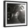 Point Reyes III-George Johnson-Framed Photographic Print