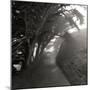 Point Reyes III-George Johnson-Mounted Photographic Print