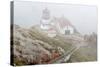 Point Reyes Lighthouse-Richard Cummins-Stretched Canvas