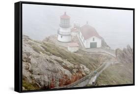 Point Reyes Lighthouse-Richard Cummins-Framed Stretched Canvas