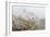 Point Reyes Lighthouse-Richard Cummins-Framed Photographic Print