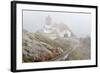 Point Reyes Lighthouse-Richard Cummins-Framed Photographic Print