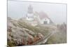 Point Reyes Lighthouse-Richard Cummins-Mounted Photographic Print