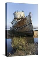 Point Reyes Shipwreck, Inverness, California-Paul Souders-Stretched Canvas