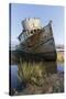 Point Reyes Shipwreck, Inverness, California-Paul Souders-Stretched Canvas
