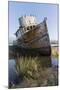 Point Reyes Shipwreck, Inverness, California-Paul Souders-Mounted Premium Photographic Print