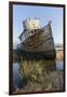 Point Reyes Shipwreck, Inverness, California-Paul Souders-Framed Premium Photographic Print