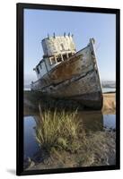 Point Reyes Shipwreck, Inverness, California-Paul Souders-Framed Premium Photographic Print