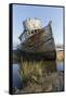 Point Reyes Shipwreck, Inverness, California-Paul Souders-Framed Stretched Canvas