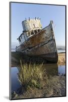 Point Reyes Shipwreck, Inverness, California-Paul Souders-Mounted Photographic Print