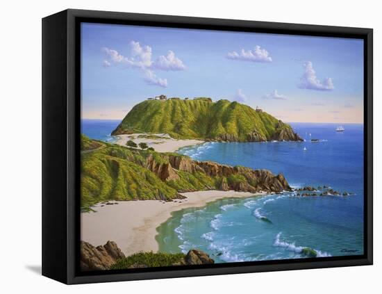 Point Sur, CA-Eduardo Camoes-Framed Stretched Canvas