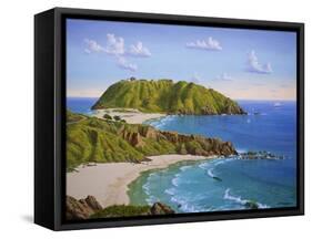 Point Sur, CA-Eduardo Camoes-Framed Stretched Canvas