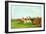 Point to Point Racing-Henry Thomas Alken-Framed Giclee Print