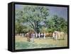 Point to Point-Paul Gribble-Framed Stretched Canvas