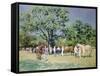 Point to Point-Paul Gribble-Framed Stretched Canvas