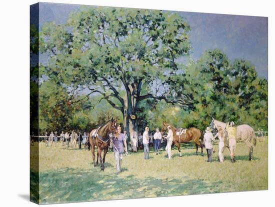 Point to Point-Paul Gribble-Stretched Canvas