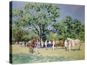 Point to Point-Paul Gribble-Stretched Canvas