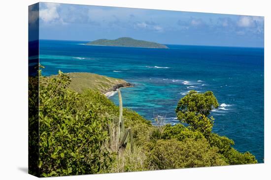 Point Udall with Buck Island in background, St. Croix, US Virgin Islands.-Michael DeFreitas-Stretched Canvas