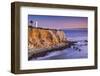 Point Vicente in Rancho Palos Verdes, Los Angeles, California.-SeanPavonePhoto-Framed Photographic Print