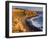 Point Vincente Lighthouse, Palos Verdes Peninsula, Los Angeles, California-Richard Cummins-Framed Photographic Print