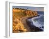 Point Vincente Lighthouse, Palos Verdes Peninsula, Los Angeles, California-Richard Cummins-Framed Photographic Print