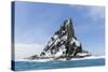 Point Wild, Elephant Island, South Shetland Islands, Antarctica, Polar Regions-Michael Nolan-Stretched Canvas